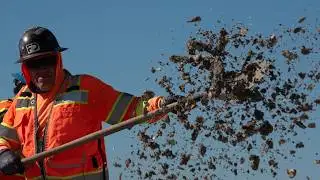 As Batiquitos Lagoon track work advances, crews restore nesting site for least terns