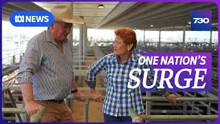 As the federal Coalition implodes, One Nation