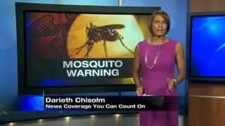 Asian Tiger Mosquito Bites Hard