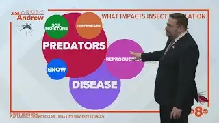 Ask Andrew: Does a mild winter mean we will have more bugs this summer?