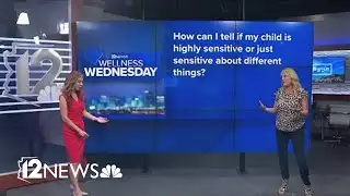 Ask the Expert: Dealing with highly sensitive children