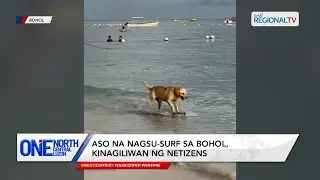Aso na nagsu-surf, kinagiliwan ng netizens | One North Central Luzon