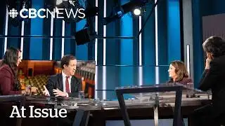 At Issue | Your 2026 Canadian politics primer