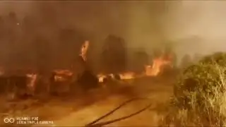 At least 13 people dead from Chile