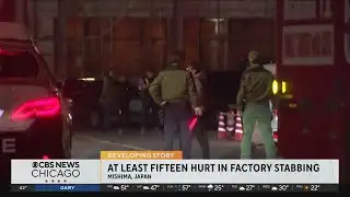 At least 15 hurt in Japan factory stabbing attack
