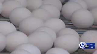 Attorney general sues egg producer over price gouging