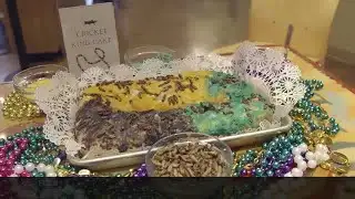 Audubon Update/Carnival Events