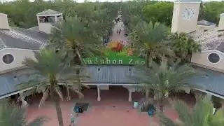 Audubon Update / Click Beetle