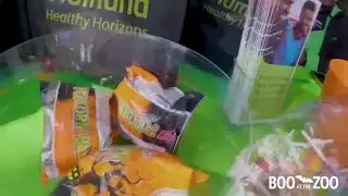 Audubon Update: Mermaids and more!