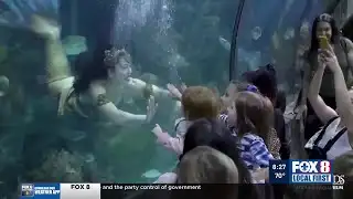 Audubon Update : Mermaids & Dinosaurs