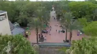 Audubon Update / Spring Events