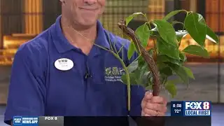 Audubon Update /Zoo to Do; Cool Zoo; May the 4th