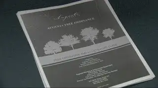 Augusta leaders question tree ordinance changes