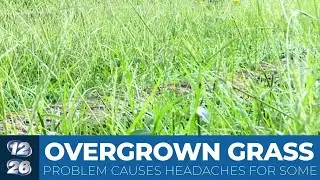 Augusta resident’s frustrations grow as grass complaints continue