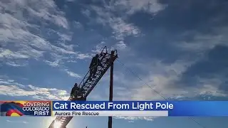 Aurora Firefighters Rescue Cat From Atop Light Pole