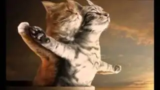 Aush0k Party // KMS-Vypor