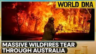 Australia Bushfire: Massive Wildfires Get Triggered By Heatwave | WION World DNA