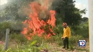 Authorities conduct prescribed burn in Deerfield Beach