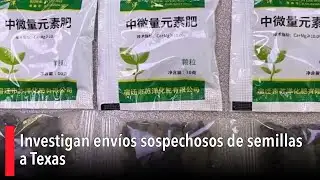 Authorities investigate suspicious seed shipments to Texas