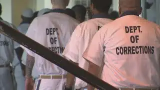 Authorities mistakenly release convicted child rapist