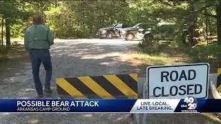 Authorities search for bear possibly connected to deadly attack