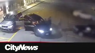 Auto-theft investigation leads to 124 arrests