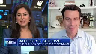 Autodesk CEO: Here