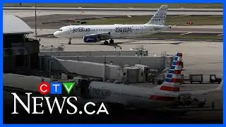 Aviation expert explains the flight-control incident that caused Airbus