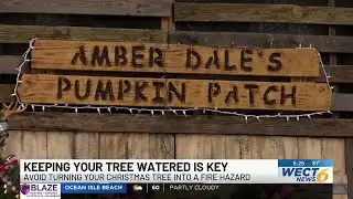 Avoid turning your Christmas tree into a fire hazard