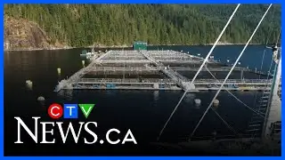 B.C. fishers and farmers react to trade deal