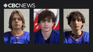 B.C. junior hockey players killed in Alberta crash