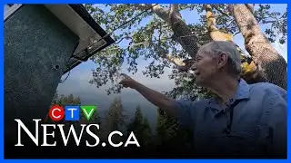 B.C. man captures mysterious fairy-like figure on security camera