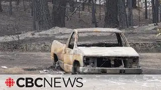 B.C. wildfires: 189 properties destroyed by McDougall Creek wildfire
