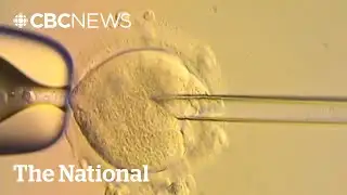 Babies born with new 3-person IVF technique