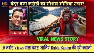 बंदर बना सोशल मीडिया स्टार! | Bablu Bandar Viral Sensation | Hindi Digital News