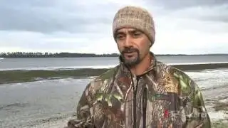 Baby orca lucky to be alive