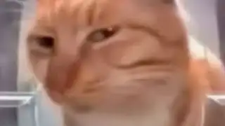 Bad News Everyone....