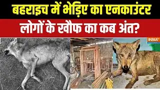 Bahraich Wolf Attack:  बहराइच में भेड़िए का एनकाउंटर, लोगों के खौफ का कब अंत?