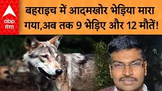 Bahraich Wolf Attack  : बहराइच में वन विभाग की बड़ी कार्रवाई, आदमखोर भेड़िया मारा गया |