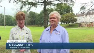 Bald Eagle nursed back to health by local conservation groups