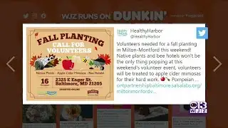 Baltimore Buzz: Need Weekend Plans?