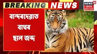 Bandardewa Breaking | অসম অৰুণাচল সীমান্তৰ বান্দৰদেৱাত বাঘৰ ছাল জব্দ