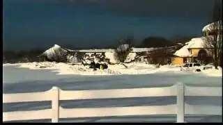 Barn collapse kills one horse