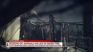 Barn destroyed, animals dead after fire near Galloway