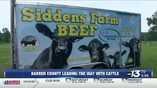 Barren County leading the way with cattle