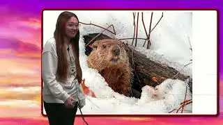 BASH-TV News: 1/8/2026