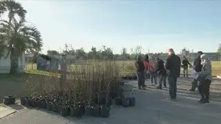 Bay County residents urged to join tree giveaway, sculpture event