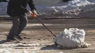 Bay Ridge comes together to dig neighbors out after snowstorm