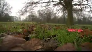 BBC News   Why disc golf is proving popular in Britain #039;s parks