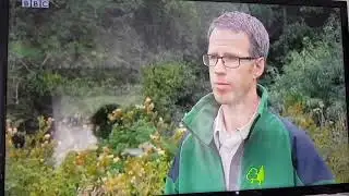 BBC openly blame gamekeepers for Hen Harrier persecution, well done BBC